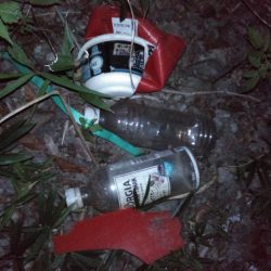 清掃活動：残暑バス